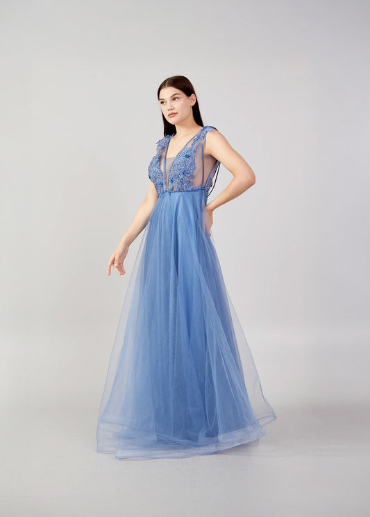Embroidered Illusion Tulle Gown